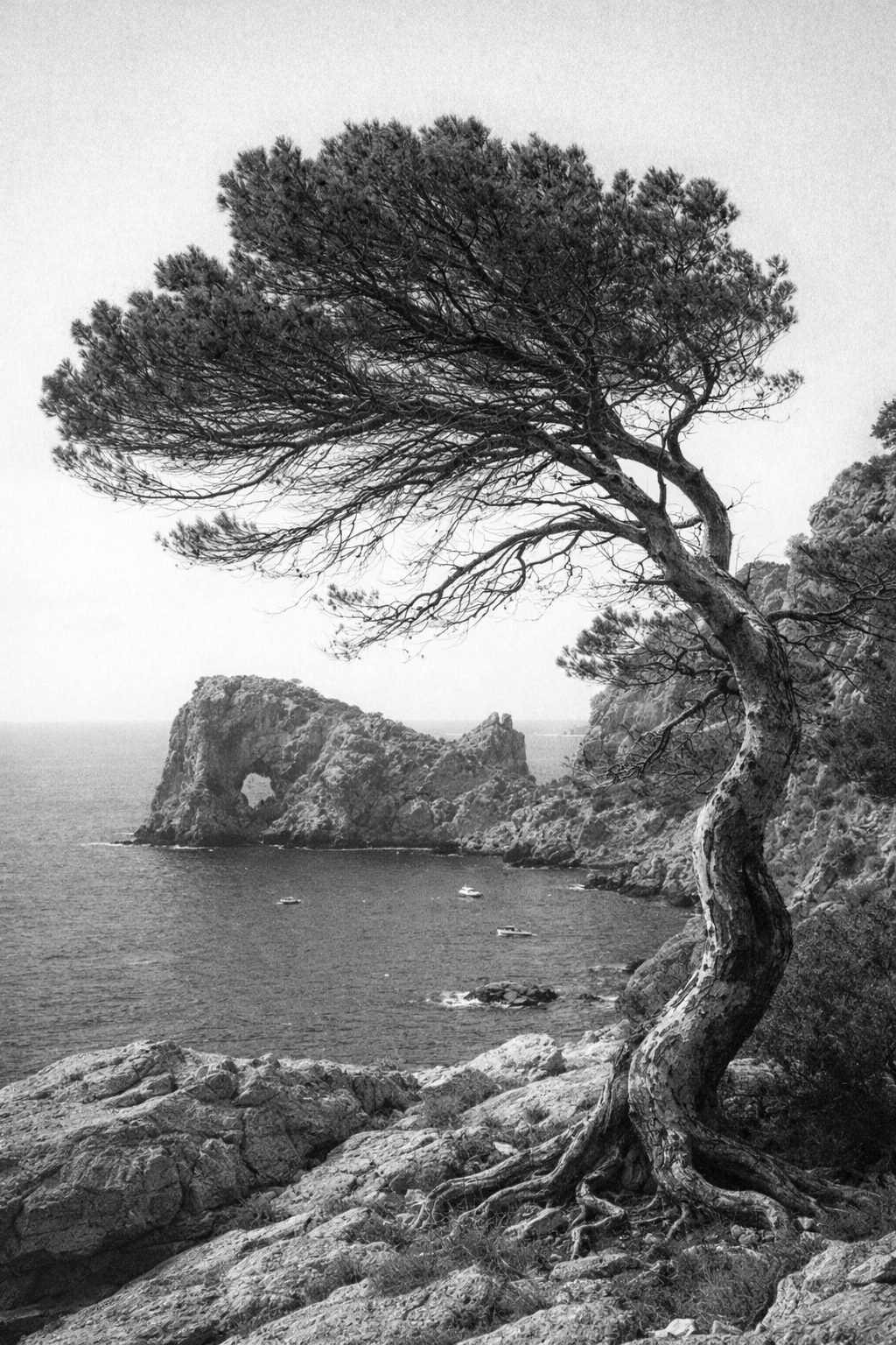 strange darling: a movie you feel through music