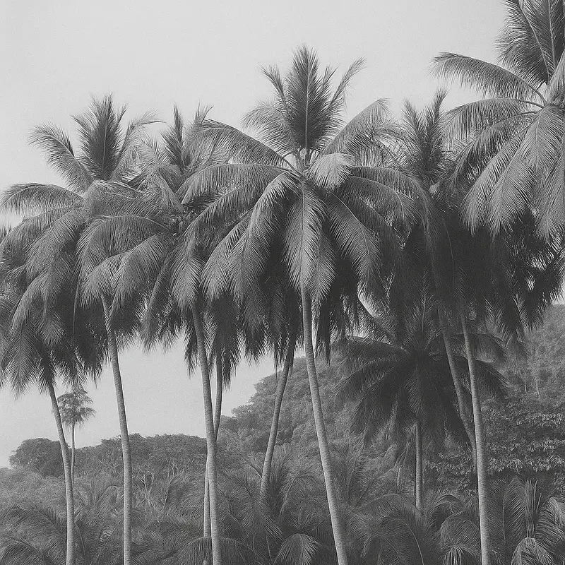black and white grove of tall palm trees against the sky and green hills
