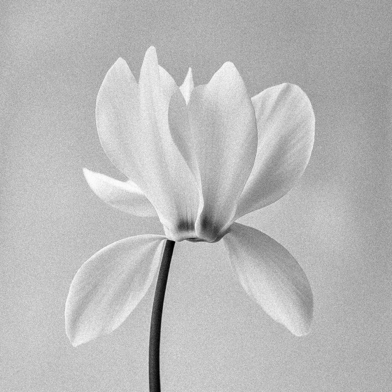 separate the art from the artist