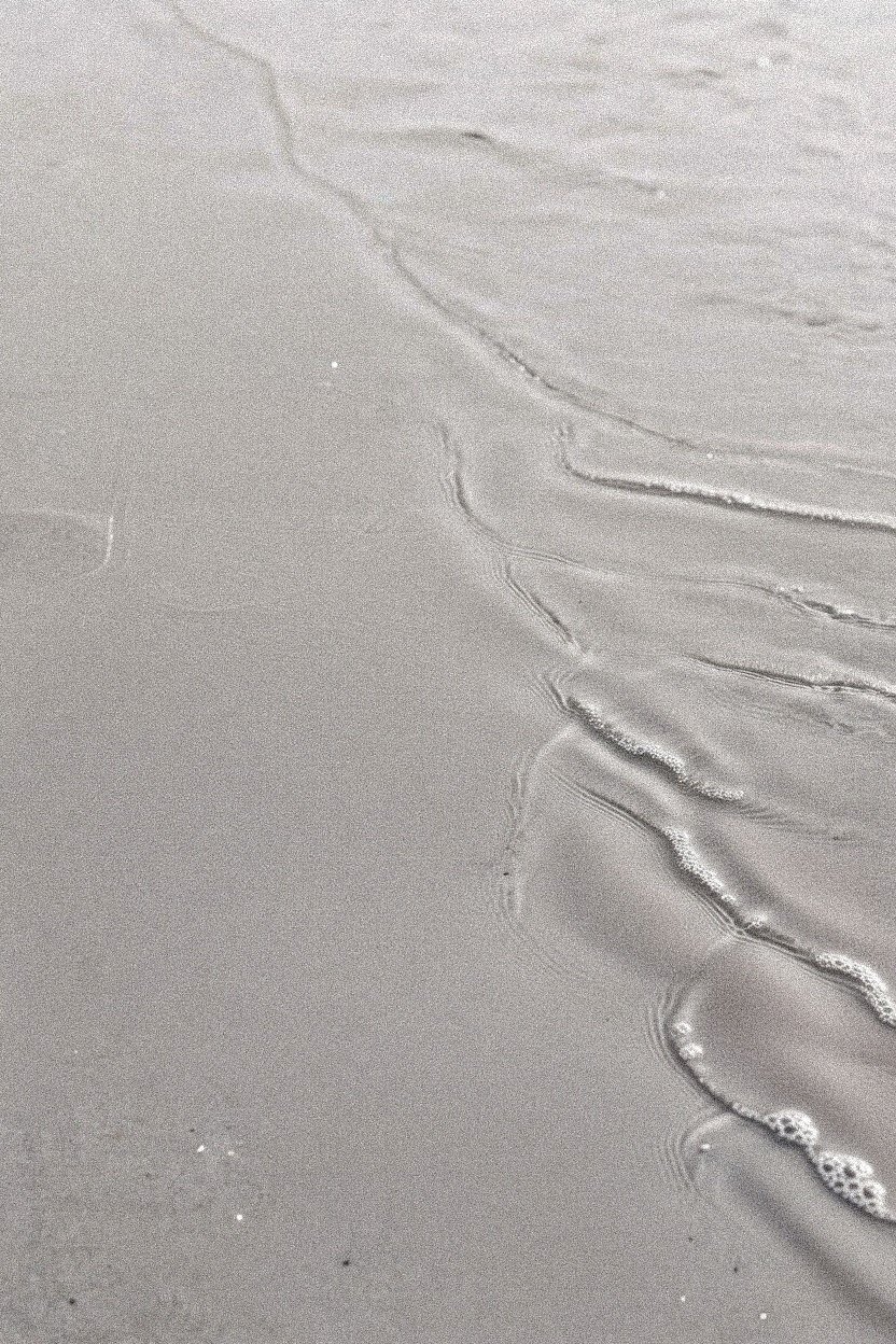 Strange Darling: Terribly Beautiful. Humidly Unsettling